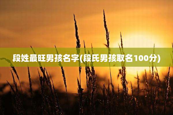段姓最旺男孩名字(段氏男孩取名100分)