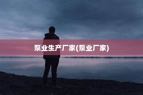 泵业生产厂家(泵业厂家)