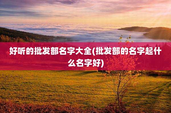 好听的批发部名字大全(批发部的名字起什么名字好)