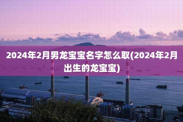 2024年2月男龙宝宝名字怎么取(2024年2月出生的龙宝宝)
