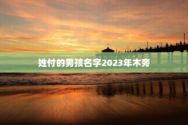 姓付的男孩名字2023年木旁