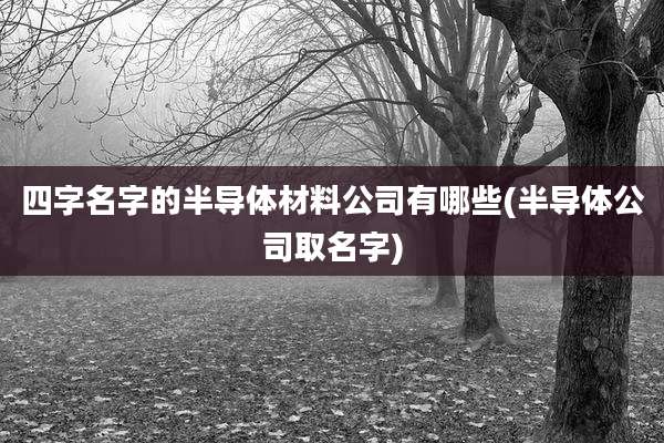 四字名字的半导体材料公司有哪些(半导体公司取名字)
