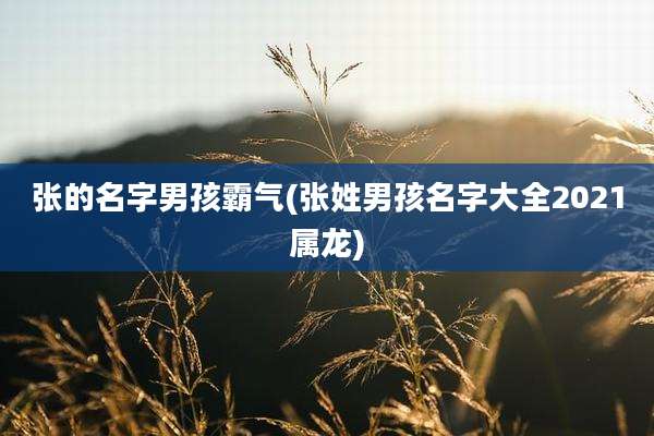 张的名字男孩霸气(张姓男孩名字大全2021属龙)