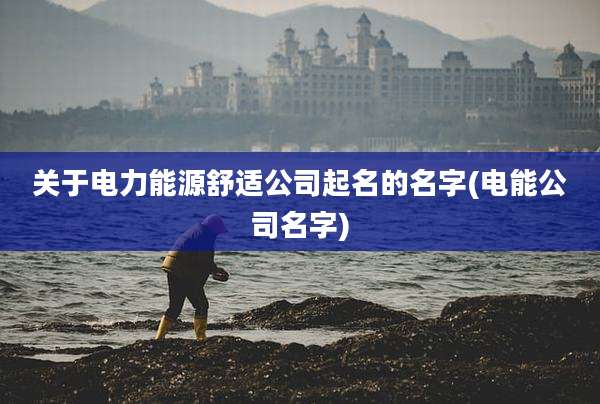 关于电力能源舒适公司起名的名字(电能公司名字)