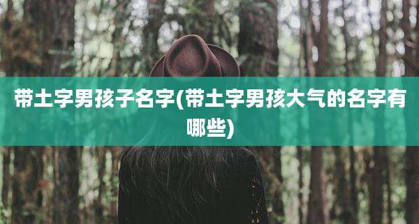 带土字男孩子名字(带土字男孩大气的名字有哪些)