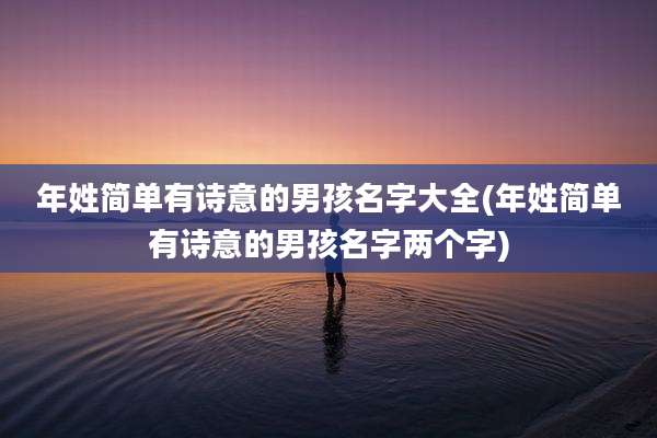 年姓简单有诗意的男孩名字大全(年姓简单有诗意的男孩名字两个字)