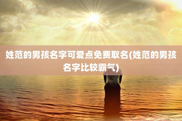 姓范的男孩名字可爱点免费取名(姓范的男孩名字比较霸气)