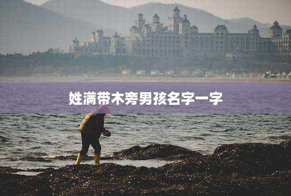 姓满带木旁男孩名字一字