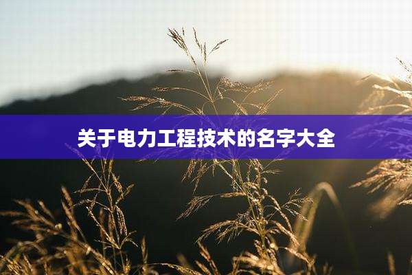 关于电力工程技术的名字大全