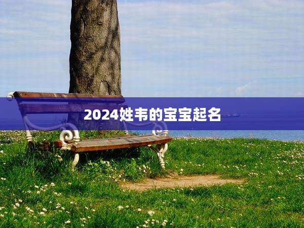 2024姓韦的宝宝起名