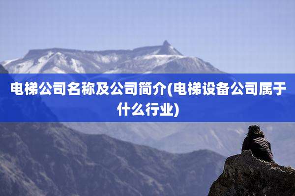 电梯公司名称及公司简介(电梯设备公司属于什么行业)