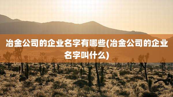 冶金公司的企业名字有哪些(冶金公司的企业名字叫什么)
