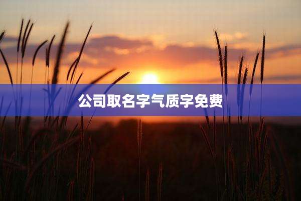 公司取名字气质字免费