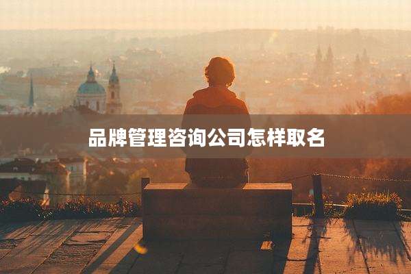 品牌管理咨询公司怎样取名
