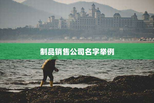 制品销售公司名字举例