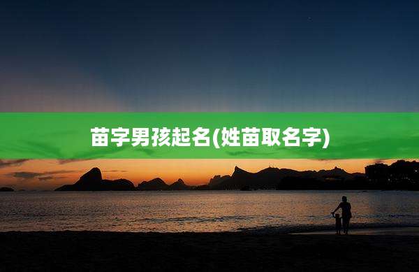 苗字男孩起名(姓苗取名字)