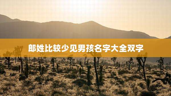 郎姓比较少见男孩名字大全双字