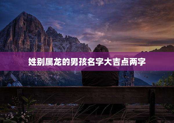 姓别属龙的男孩名字大吉点两字
