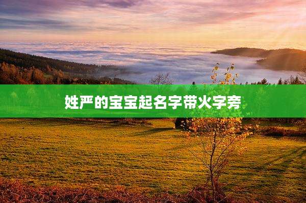姓严的宝宝起名字带火字旁
