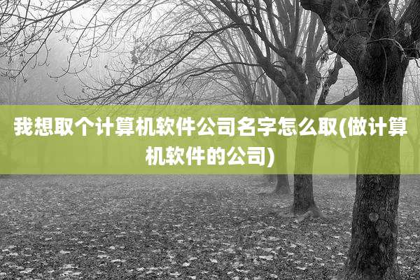 我想取个计算机软件公司名字怎么取(做计算机软件的公司)