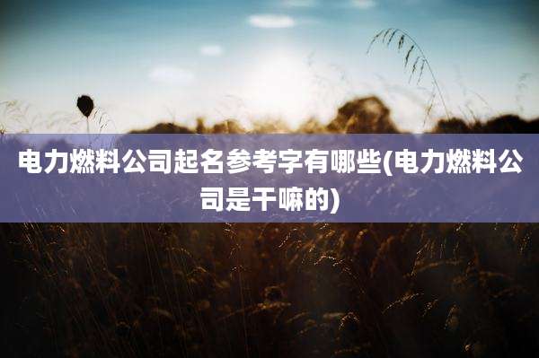 电力燃料公司起名参考字有哪些(电力燃料公司是干嘛的)