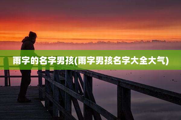 雨字的名字男孩(雨字男孩名字大全大气)