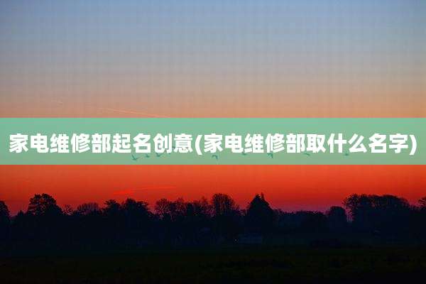 家电维修部起名创意(家电维修部取什么名字)
