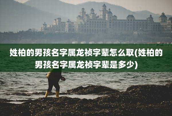 姓柏的男孩名字属龙祯字辈怎么取(姓柏的男孩名字属龙祯字辈是多少)