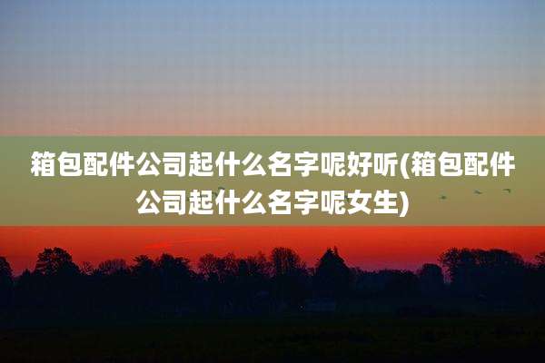 箱包配件公司起什么名字呢好听(箱包配件公司起什么名字呢女生)