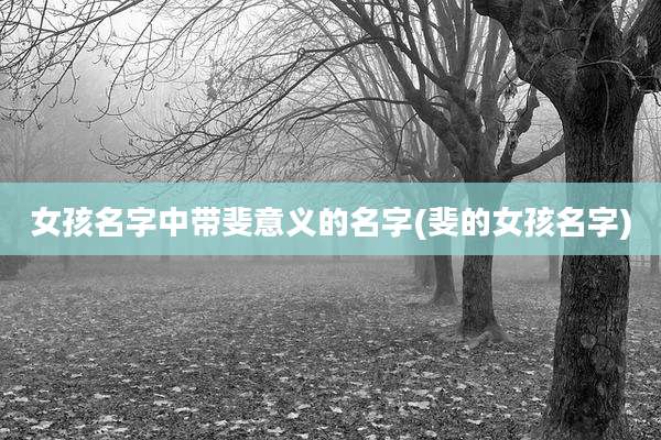 女孩名字中带斐意义的名字(斐的女孩名字)