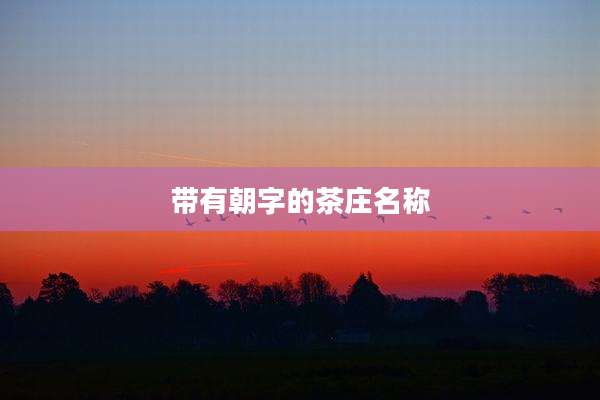 带有朝字的茶庄名称
