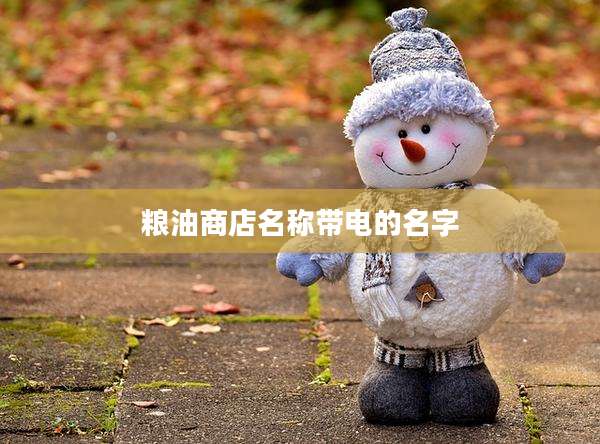 粮油商店名称带电的名字
