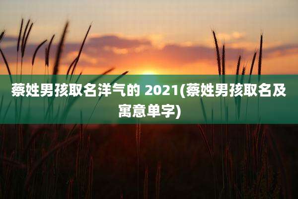 蔡姓男孩取名洋气的 2021(蔡姓男孩取名及寓意单字)