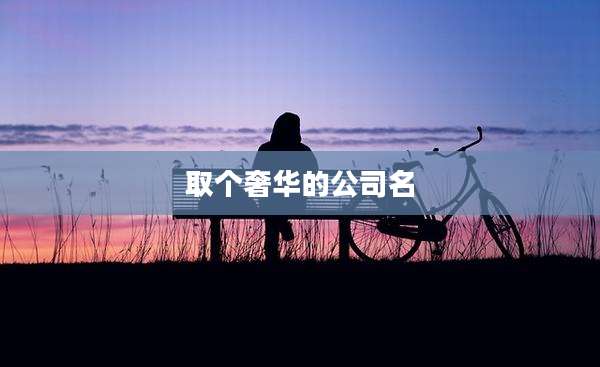 取个奢华的公司名