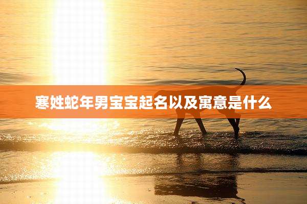 寒姓蛇年男宝宝起名以及寓意是什么