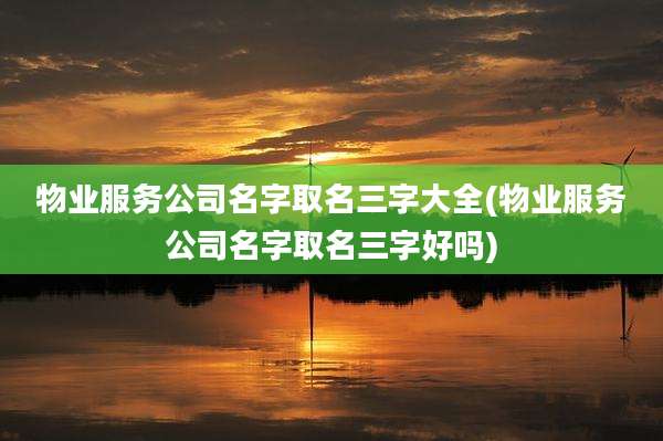 物业服务公司名字取名三字大全(物业服务公司名字取名三字好吗)