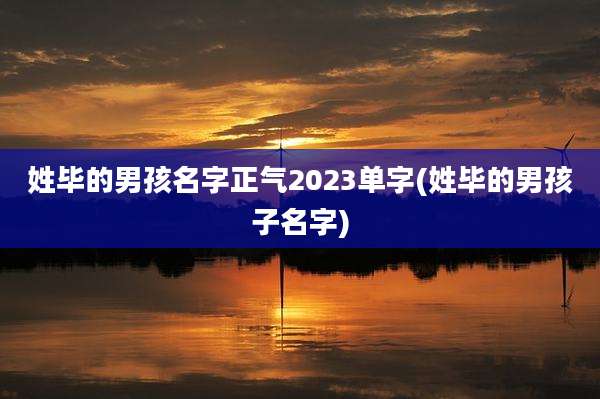 姓毕的男孩名字正气2023单字(姓毕的男孩子名字)