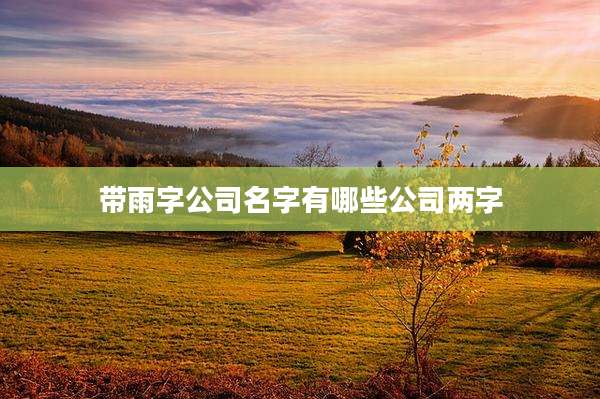 带雨字公司名字有哪些公司两字