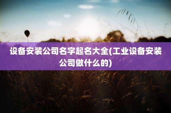 设备安装公司名字起名大全(工业设备安装公司做什么的)
