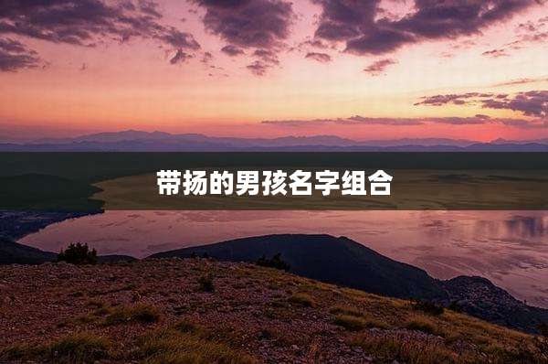 带扬的男孩名字组合