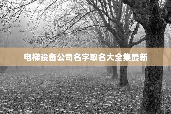 电梯设备公司名字取名大全集最新