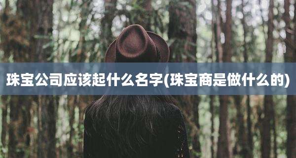 珠宝公司应该起什么名字(珠宝商是做什么的)