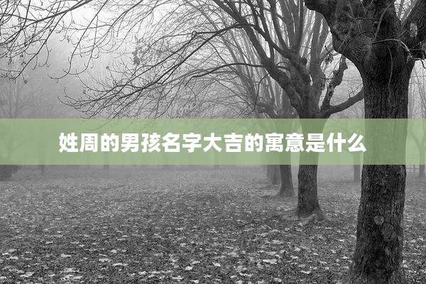 姓周的男孩名字大吉的寓意是什么