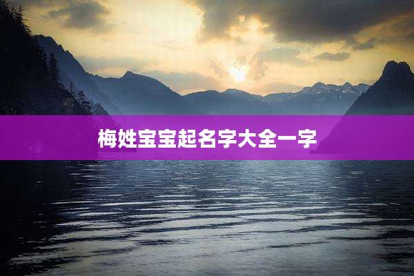 梅姓宝宝起名字大全一字