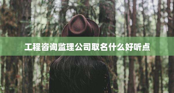 工程咨询监理公司取名什么好听点