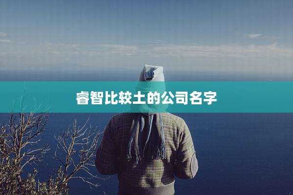 睿智比较土的公司名字