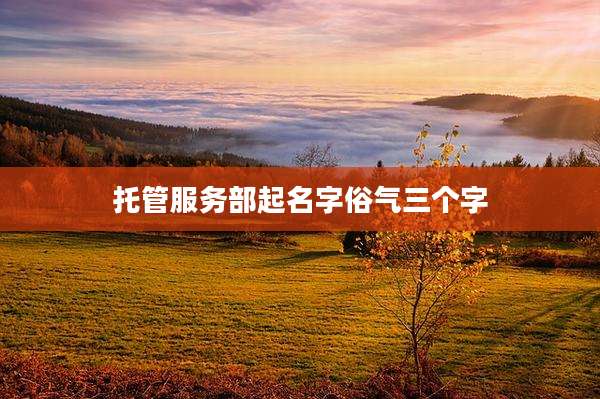 托管服务部起名字俗气三个字