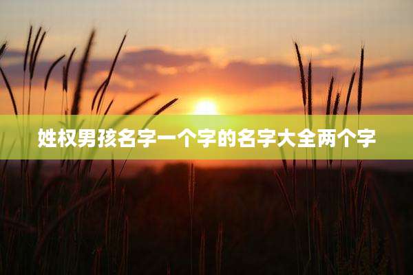 姓权男孩名字一个字的名字大全两个字