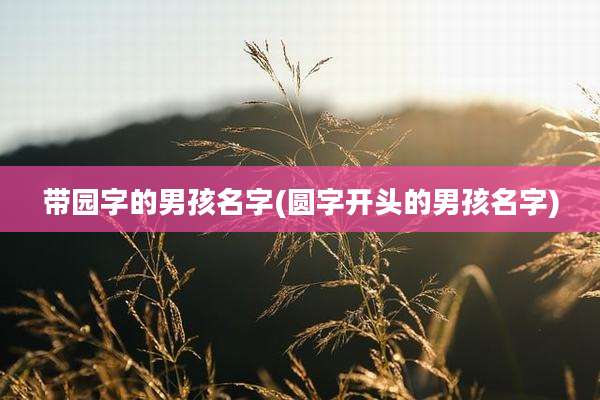 带园字的男孩名字(圆字开头的男孩名字)