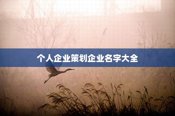 个人企业策划企业名字大全